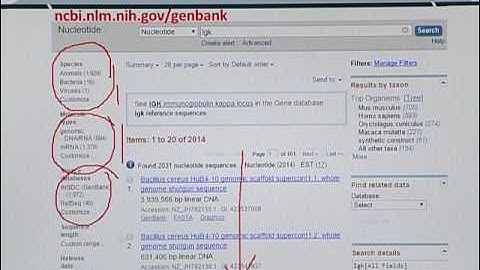 Topic 18 (BIF401 - Bioinformatics I)