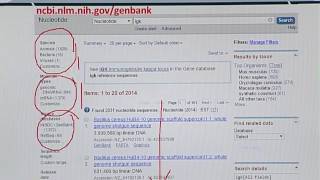Topic 18 (BIF401 - Bioinformatics I)