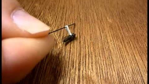 How to Make an Insect Collection: Part 8 of 11: Point Mounting