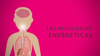 Los beneficios de la dieta cetógenica y su rol en el cáncer