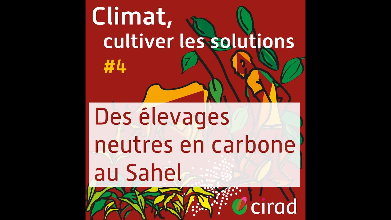 L’élevage sahélien, source d’inspiration #4 | Climat, cultiver les solutions