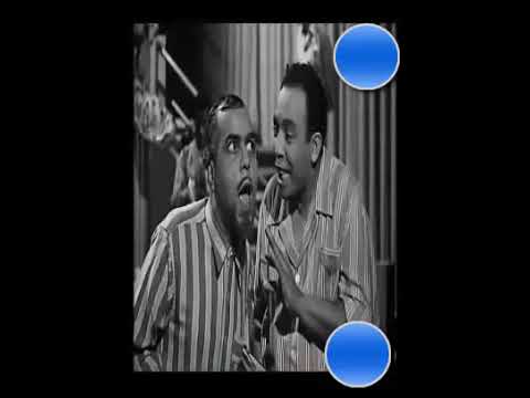 حكمة المجانين