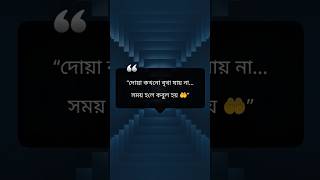 #IslamicReminder #Quran #Hadith #Dua #IslamicVideos #DailyIslamic #MuslimLife #IslamicMotivation