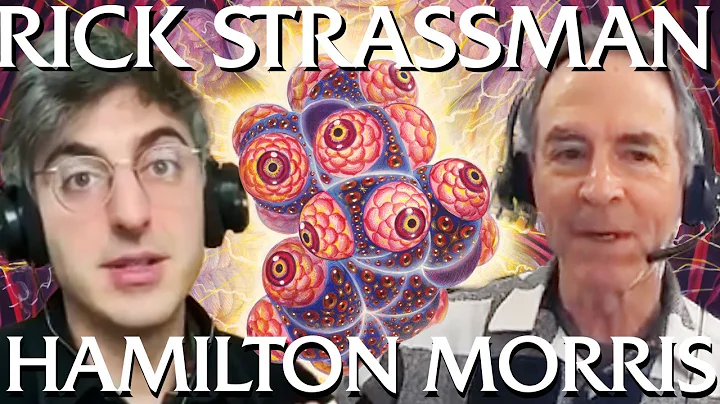 Hamilton Morris & Dr. Rick Strassman on DMT: The Super Placebo