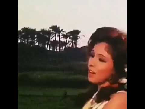 يمكن على باله حبيبي عفاف راضي