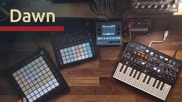 Dawn - Microfreak, Minitaur, NTS-1 & Circuit Tracks