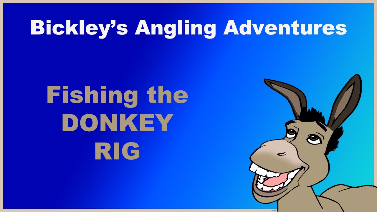Donkey Rig