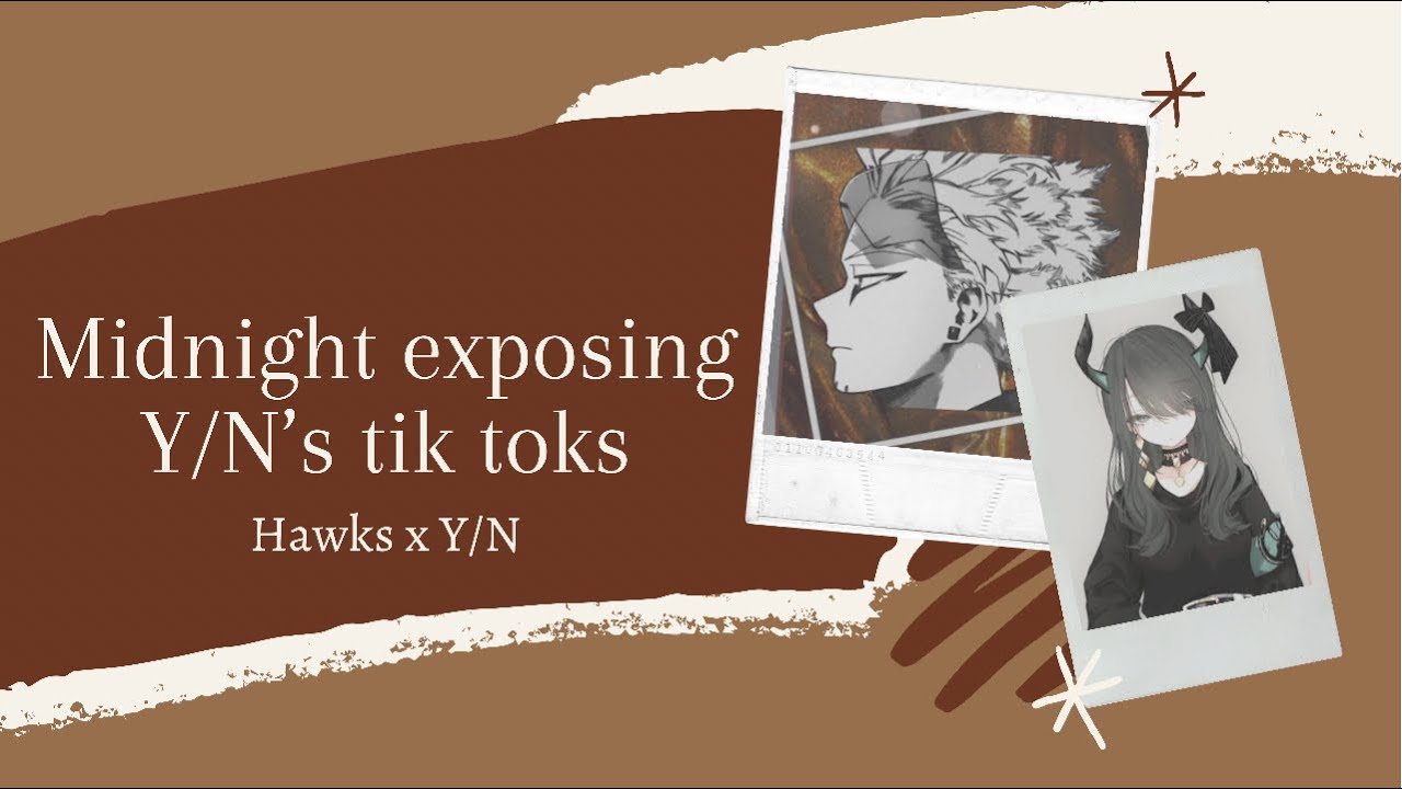 [MHA/BNHA texts] Midnight exposing Y/N’s tik toks || Hawks x Y/N