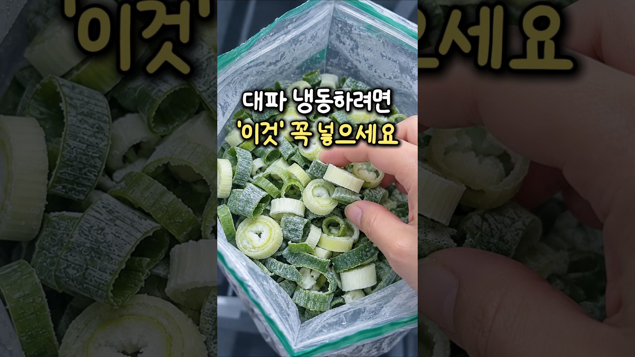 대파 얼릴 때 다이소 '이것' 넣었더니 완전 달라요!