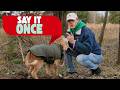 Does Your Dog Ignore You? Play This Game!