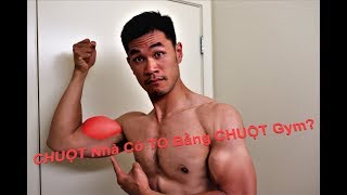 Các bài tập bắp tay trước tại nhà không cần dụng cụ - Tập Biceps hiệu quả.