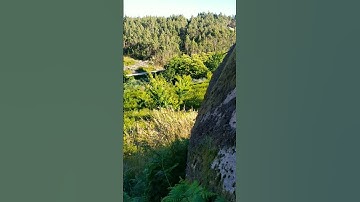 Thumbnail of 04/06/2021 Part 46 Paisajes / Landscapes / пейзажи / Nature (Music: ‎@DaniElManzanoBeats1994  )