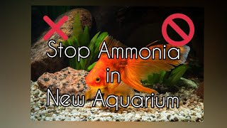 AMMONIA In Aquarium - HOW TO FIX IT FAST !? NEW  Fish tank