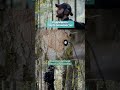 ФРАНЦУЗСКИЙ БЛОГЕР ОХОТИТСЯ ЗА ЗВУКАМИ