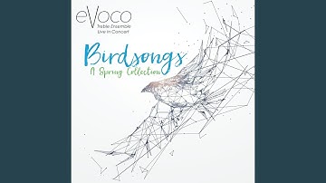 Spring Sketches: 5. Yellow Flame (Live)