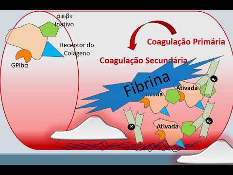 Vídeo: Diferença Entre A Doença De Von Willebrand E Hemofilia