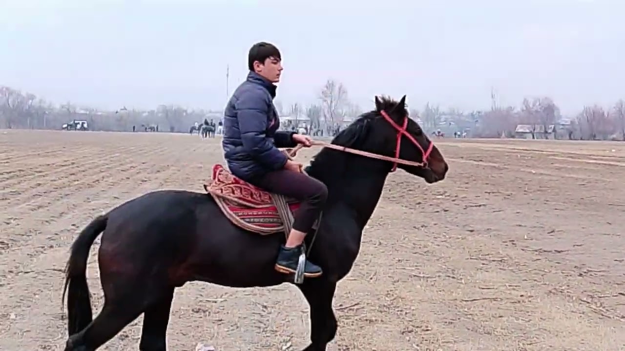 Бузкаши Хамадони (Ленин) 21.01.2026