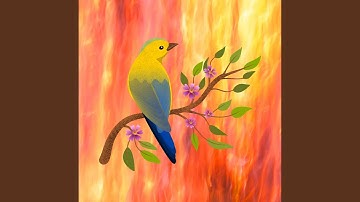 Scintillating Discovering Today