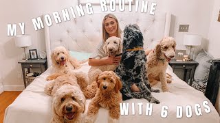MY MORNING ROUTINE WITH 6 DOGS | 4 Goldendoodles and 2 Poodles