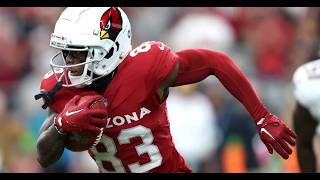 Detroit Lions Sign WR Greg Dortch: