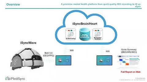 1 : brief overview of quantitative EEG landscape with a iSyncWave/Brain product overview