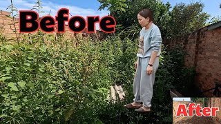 Transforming Overgrown Lawn & Garden for Her | Relaxing Yard Cleanup