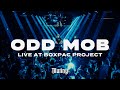 Odd Mob Live At Boxpac Project