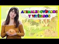 ANIMALES OVÍPAROS Y VIVÍPAROS - Historia Educativa