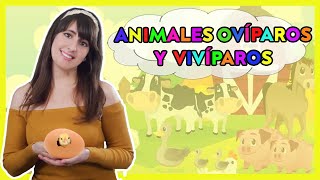 ANIMALES OVÍPAROS Y VIVÍPAROS - Historia Educativa
