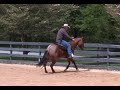 Les vogts old cowboy trick episode 160  herm gailey a lifetime with horses