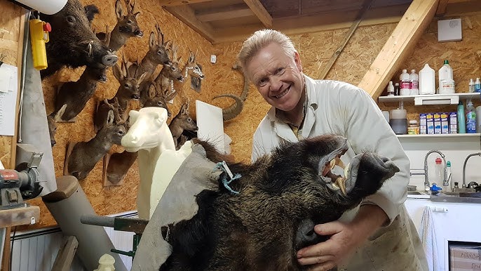 VIDEO. Au Muséum, l'art délicat et spectaculaire de la taxidermie