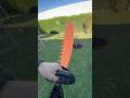 Pellenc ⚔️ Hedge trimming 🍃 #landscape #beautifultools #garden #satisfyingvideo #asmrvideo #asmr