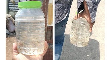 Releasing Fish To Big Pound 🐟🐟🐟🐟 #youtube #shorts #shortsvideo #shortvideo