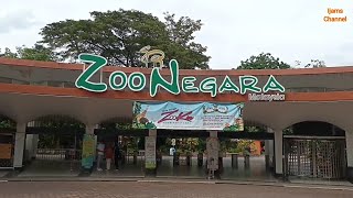 Jom Jalan Jalan Zoo Negara | National Zoo of Malaysia ( Full Tour )