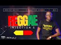 Dj rayza  reggae injection 5