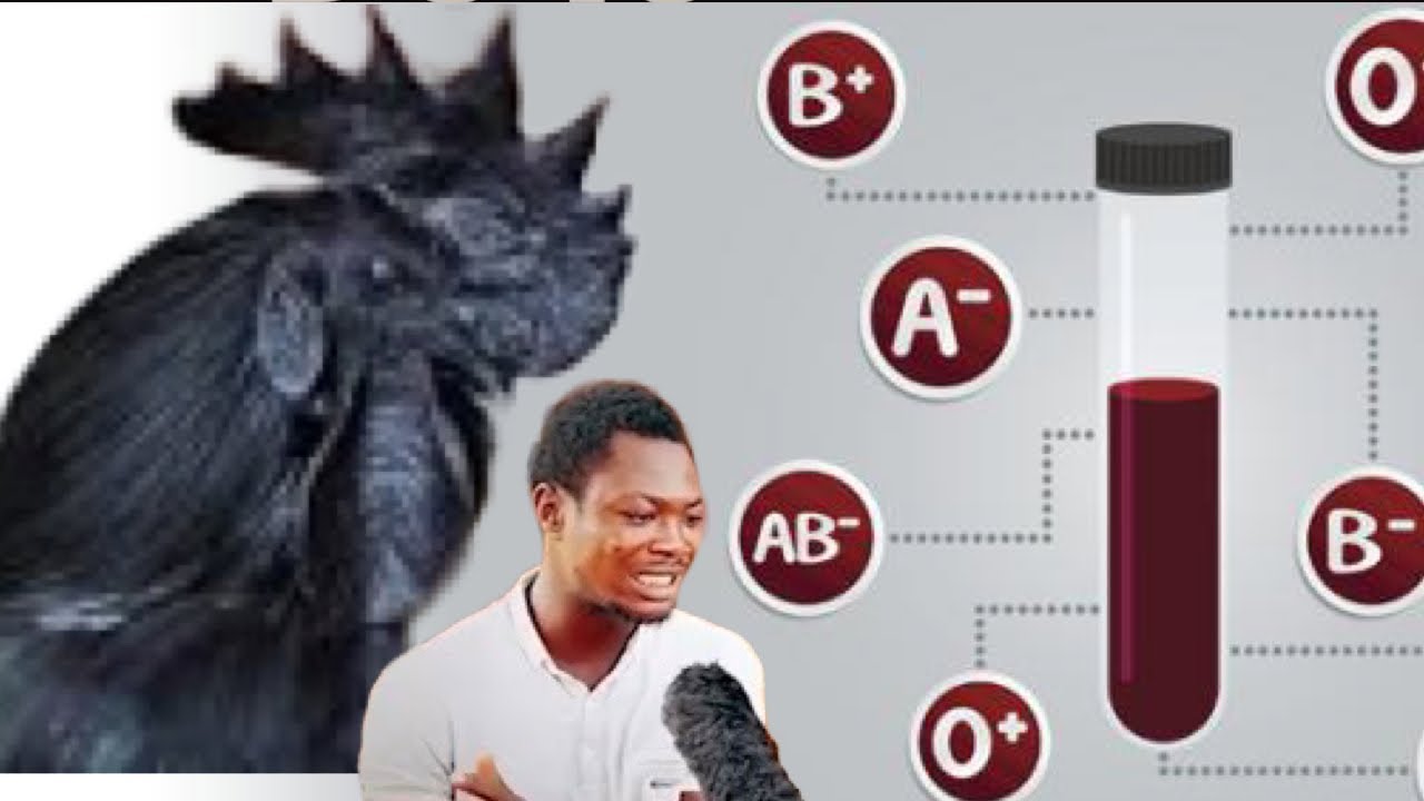 monday-borns-buy-a-black-chicken-for-your-mother-every-year-blood