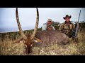 Bush Buck and Waterbuck  " DSC's Trailing The Hunters Moon "