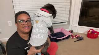 Life Update and Lola!
Hey yall!
Here is a life update and of course Miss Lola Chanel had to make an appearance!
Shop with Rakuten (formerly known as eBates): Earn $10 when you spend $25! https://www.rakuten.com/r/DJPETT15?eeid=28187
The Ladies Lair Podcast on all major platforms: Apple Podcasts, Google Podcasts, Soundcloud, Spotify, Pandora, iHeartRadio Podcasts and more! https://anchor.fm/theladieslair
All inquiries:
Denieccee.Pettaway@gmail.com
Follow Me on Social Media: @djpettaway and @theladieslair on IG and Twitter (@theladieslair_ ) on Twitter
Editing: Done by yours truly with iMovie
Camera: iPhone 12 Life Update and Lola!