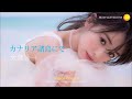 大瀧詠一  -  カナリア諸島にて