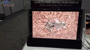 DisplayWeek 2022 - Dimenco Shows Latest 3D Displays