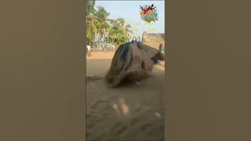جادوی سیاه آفریقایی یا ودود Black Magic Of Zimbabwe 