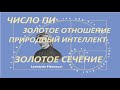 Ю.Г. БОНДАРЕНКО ВСЕОБЩИЕ ЗАКОНЫ МИРОЗДАНИЯ