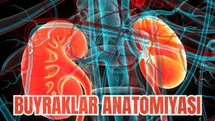 Ayol Kievlik yigit bilan jinsiy aloqa izlamoqda.