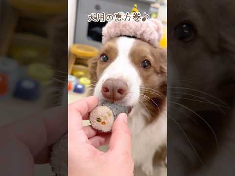 çŻćđčâšæ”æčć·»ăăé ŹćŒ”ăçŹéăćŻæăăăăâĄăăăŒăăŒăłăȘăŒă»ăȘăŒăčăă©ăȘăąăłă·ă§ăăŒăă#shorts