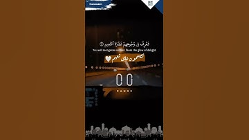 شيخ أحمد النفيس – سورة المطففين (٢٢ - ٢٨)