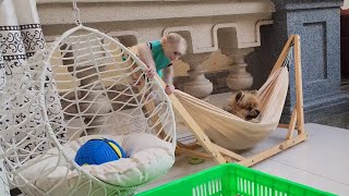 Baby Monkey SUGAR Has Much Fun Playing with Adorable Puppy