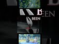 HOLLOW KNIGHT é PERFEITO 😳🔥 #hollowknight #gaming #viral #fyp #foryou #shorts