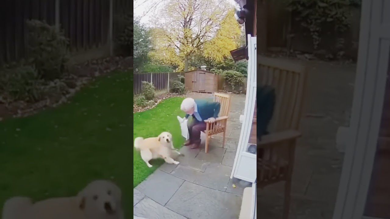 You Won’t Believe How This Dog Saved His Owner’s Life!