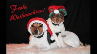 'Christmas Raffle' Compilation - My Intelligent Dogs® by My Intelligent Dogs® 47 views 7 years ago 1 minute, 28 seconds