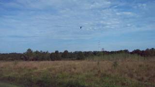 EXI 500 First Inverted flight